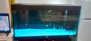 Acquario Rio 300 juwel