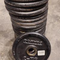 Dischi in ghisa per palestra 