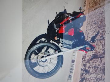 Aprilia Red Rose