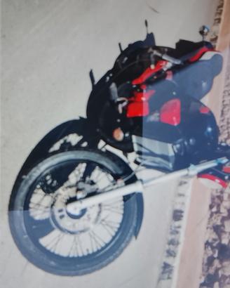 Aprilia Red Rose