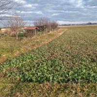 Terreno agricolo per orto