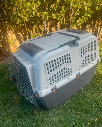 trasportino per cane taglia grande 