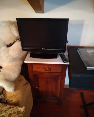 Televisore/Monitor LG 19LS4D (19")