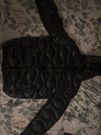 coppia di blauer