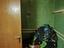 Immagine 7