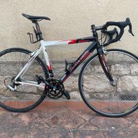BOTTECCHIA TOP SPRINT