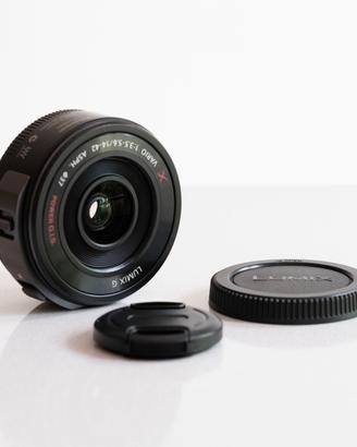 Panasonic Lumix G X Vario 14-42 mm f/3.5-5.6