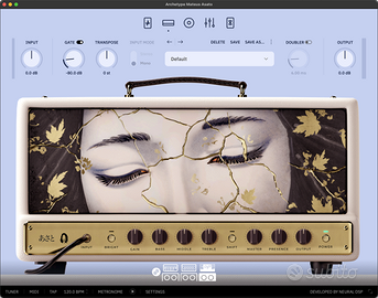 Archetype Neural DSP Plugin