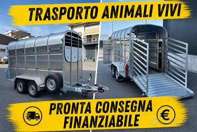 Trailer rimorchio trasporto animali Nugent