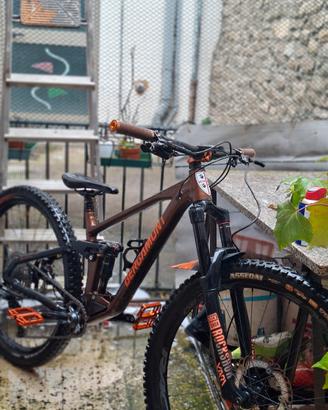 Bergamont Trailster 8