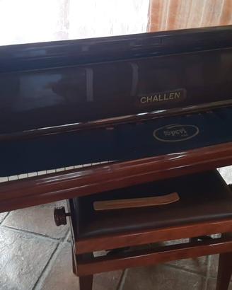 Pianoforte a mezza coda