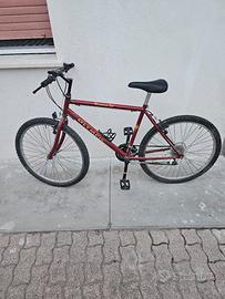 Moutain Bike