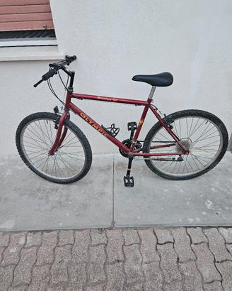 Moutain Bike