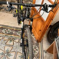 MTB carbonio