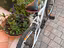 Immagine 4