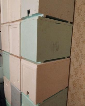 Arnie di polistirolo da 6