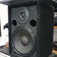 Casse amplificate RS Technology Club 120/A