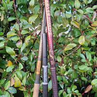 canne da pesca fisse