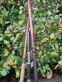 canne da pesca fisse