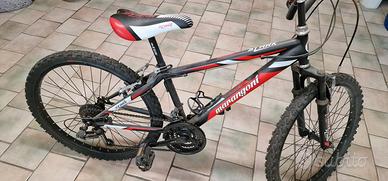 bicicletta 
