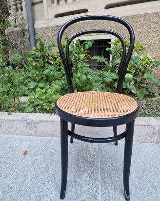 Sedia  thonet
