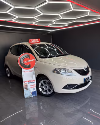 Lancia Ypsilon 1.3 Multijet 95 CV Platinum 2016