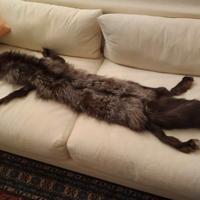 Stola in vera volpe anni 20, stile “Grande Gatsby”