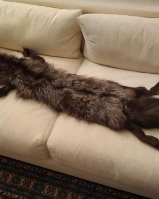 Stola in vera volpe anni 20, stile “Grande Gatsby”