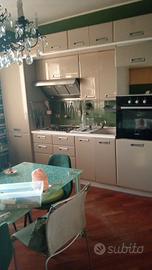 Cucina laccata Verde salvia 