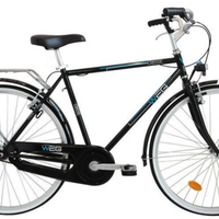 Bici WEG uomo passeggio