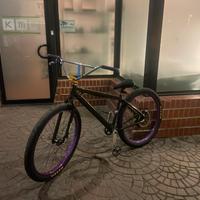 Bici fast ripper