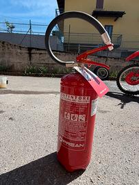 Estintore 6kg a polvere Proan