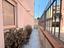 Immagine 19