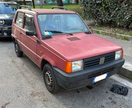 Fiat Panda 1100 fire i.e. cat Young