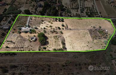 Terreno agricolo con casa