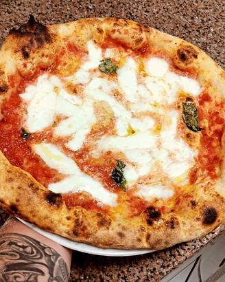 pizzaiolo 