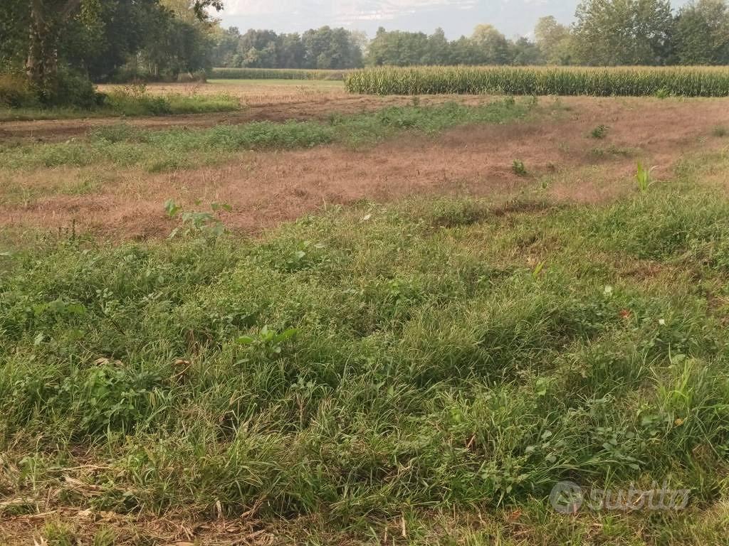 Terreno di 5436 m² a Annone di Brianza - Vista 2