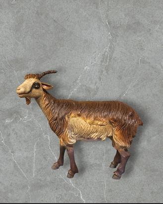 Capra Caprone Pecora Animale Pastore x Presepe 