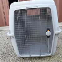 Kennel trasportino per cani