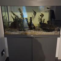 Acquario 125L Rio Led Juwel