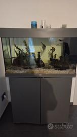 Acquario 125L Rio Led Juwel