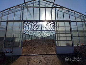 Terreno Agricolo - Ozieri