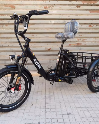 bici elettrica triciclo Onesport OT30 Pro E-Trike