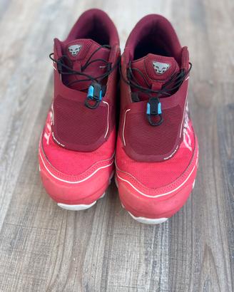 Scarpe Dynafit