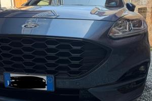 Kuga 2022