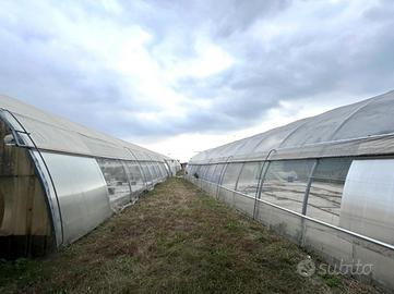 TER. AGRICOLO A SAN ZENONE DEGLI EZZELINI