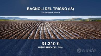 Immobile in asta di 29832 m² a Bagnoli del Trigno