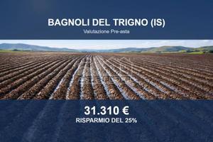Immobile in asta di 29832 m² a Bagnoli del Trigno