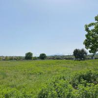 Terreno edificabile e agricolo - Sant'Egidio a V