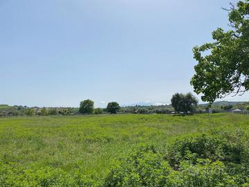 Terreno edificabile e agricolo - Sant'Egidio a V